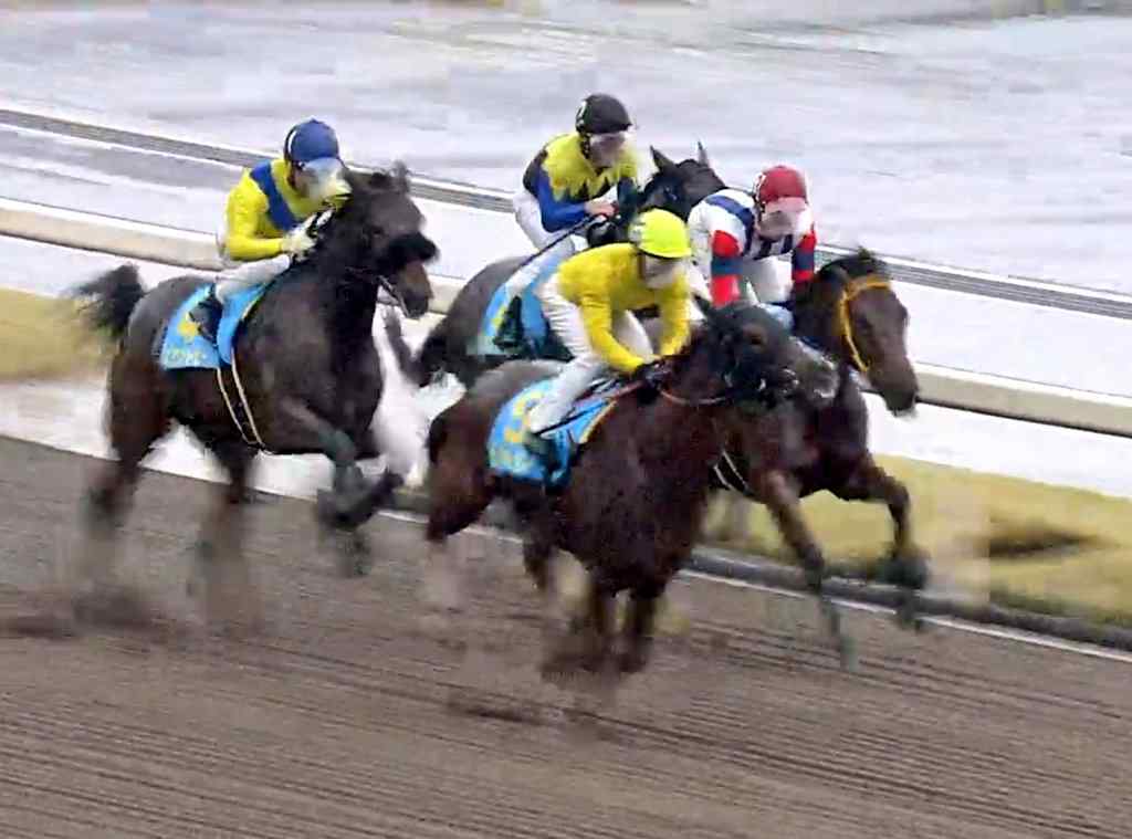 シトリンちゃん新馬戦初手